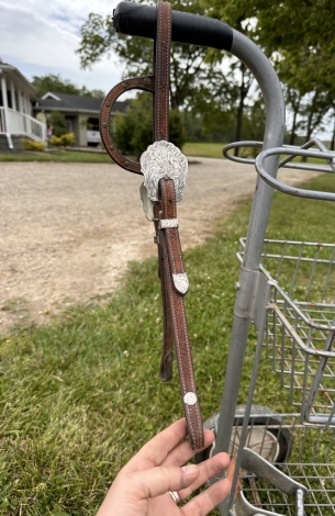 Tack ID: 568678 Classy Blue Ribbon headstall - PhotoID: 153310 - Expires 21-Sep-2024 Days Left: 14