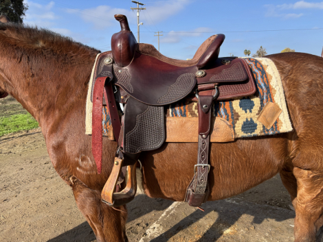 Tack ID: 569286 15 inch ranch versatility saddle - PhotoID: 154139 - Expires 24-Mar-2025 Days Left: 81